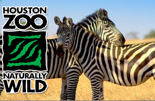 Houston Zoo Coupons 0 Hot Deals February 2020